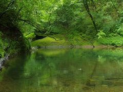 -黎坪国家森林公园
