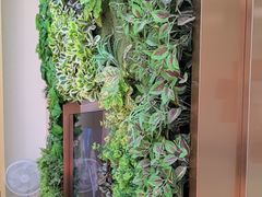 -深圳雅呗德口腔门诊部(坪山店)