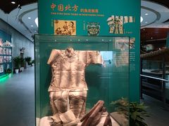 -中国湿地博物馆
