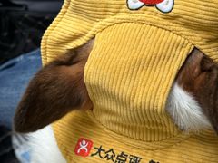 -瑞虹新天地月亮湾
