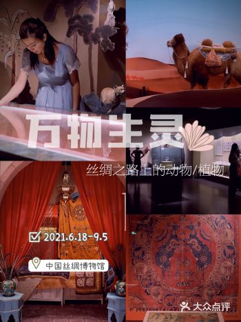 丝绸之路重现杭州/丝绸博物馆又有0元好展