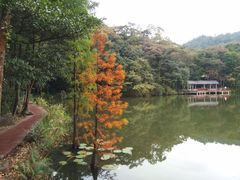 -广州市石门国家森林公园