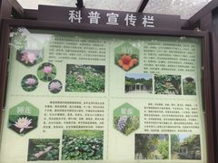 -东升八家郊野公园