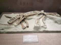 -自贡恐龙博物馆