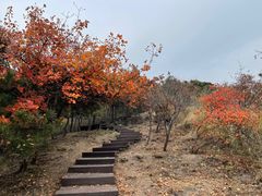-北京十三陵国家森林公园蟒山景区