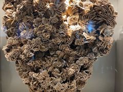 -甘肃地质博物馆