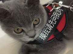-全心全意连锁动物医院(加州店)