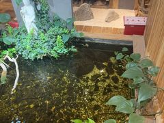 -邈墨茶馆(大兜路1号店)