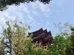 -杭州半山国家森林公园