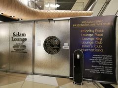 -盖达尔·阿利耶夫国际机场