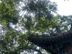 -洛阳周公庙博物馆