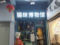 -猫咪博物馆(顶澳仔猫街店)