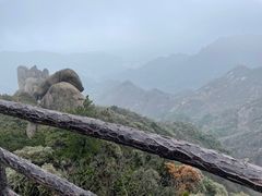 -九华山风景区