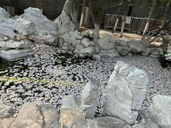 -张学良旧居陈列馆