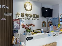 -丹景宠物医院·全科·老年病·牙科(武昌诊疗中心)