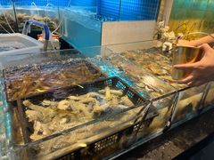 -九月海·海鲜自助(世纪东方店)