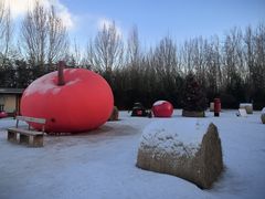 -禧宴Joyous Restaurant(禧园店)