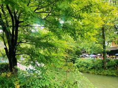 -西溪国家湿地公园