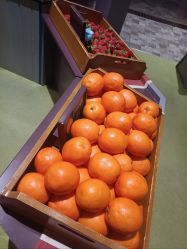 -幻贝家儿童乐园(哈尔滨王府井店)