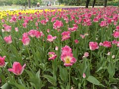 -长春公园(普阳街道)