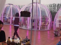 -南门四季铜锅涮肉(大屯·北苑店)