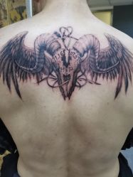 -天道tattoo纹身穿孔工作室