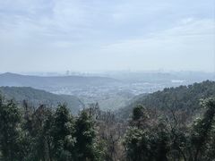 -旺山景区