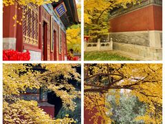 -国家植物园