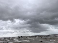 -北海金海湾红树林生态旅游区