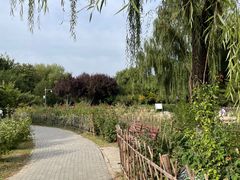 -东升八家郊野公园