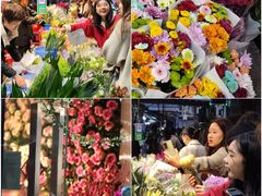 -循礼门鲜花花市(武汉循礼门店)