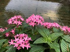 -鼓楼(西湖风景名胜区)