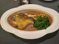 -沈灶河豚宴·河豚融合餐厅(汉中路店)