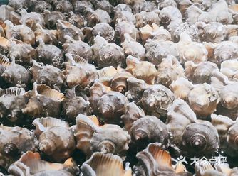 天津是一座美丽的海滨城市，特别是海鲜是我的最爱