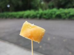 -大湾区中央湿地公园