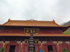 -深圳仙湖植物园