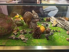 -初拾·花里餐厅(钜城华亿店)