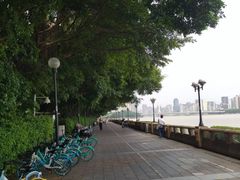 -珠江夜游广州塔·中大码头