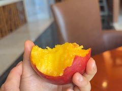-东西风牛排馆周末烧烤自助(首都机场希尔顿店)