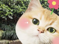 -杭州黄龙洞
