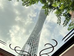 -广州都市观光巴士(粤陶巴)