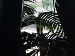 -阿兹凯乐·老洋房西餐