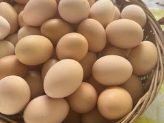 -马陆小张葡萄园农家乐