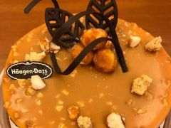 夏威夷坚果品脱冰淇淋-哈根达斯(SM店)