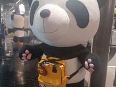 -熊猫屋(宽窄巷子景区店)