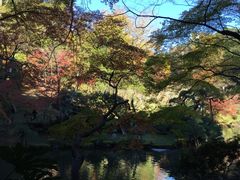 -成田山新胜寺