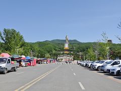 -中原大佛景区