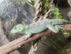 -Zoolung Zoolung动物主题公园(海信广场店)