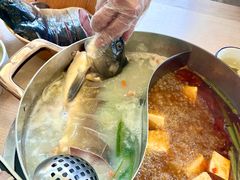 -大理老字号·舟渔的鱼野生菌海景餐厅(双廊店)