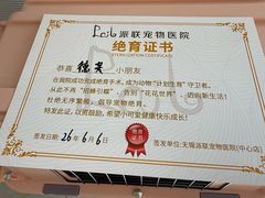 -派联宠物医院·24h·CT·异宠